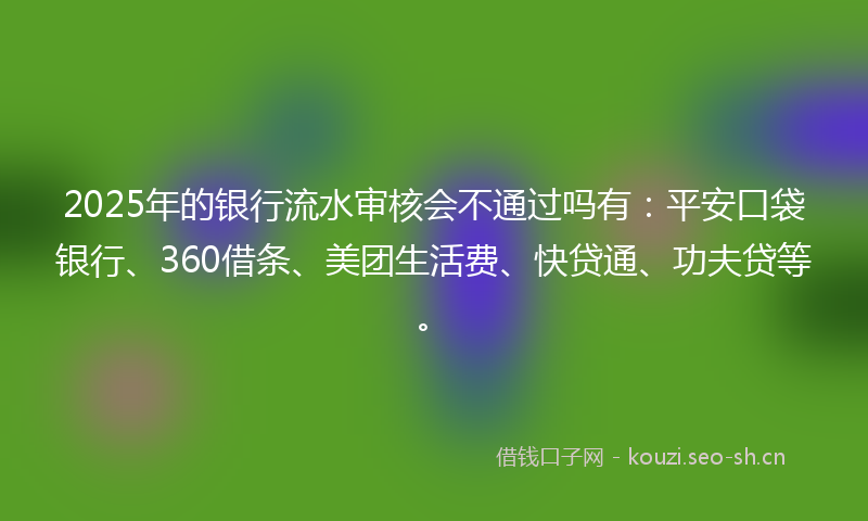 2025年的银行流水审核会不通过吗有：平安口袋银行、360借条、美团生活费、快贷通、功夫贷等。