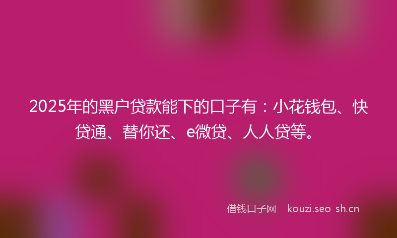 2025年的黑户贷款能下的口子有：小花钱包、快贷通、替你还、e微贷、人人贷等。