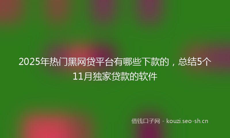 2025年热门黑网贷平台有哪些下款的，总结5个11月独家贷款的软件
