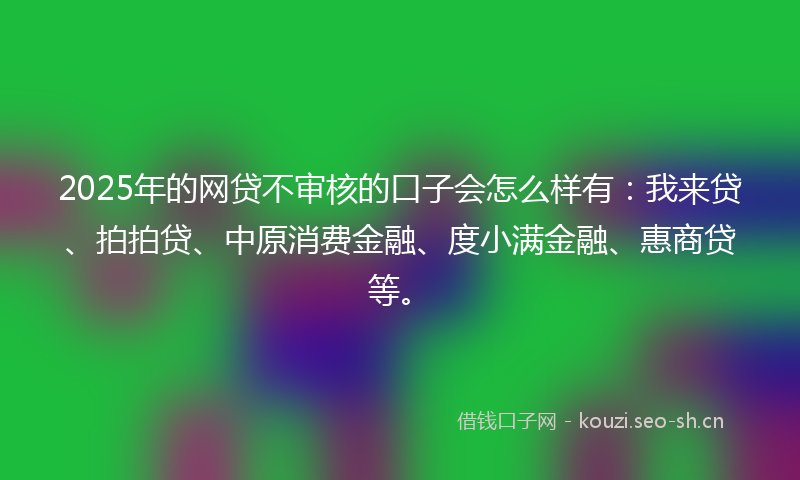 2025年的网贷不审核的口子会怎么样有：我来贷、拍拍贷、中原消费金融、度小满金融、惠商贷等。