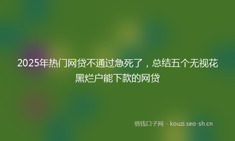 2025年热门网贷不通过急死了，总结五个无视花黑烂户能下款的网贷
