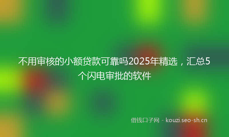 不用审核的小额贷款可靠吗2025年精选，汇总5个闪电审批的软件