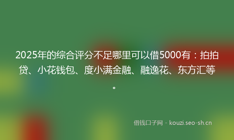 2025年的综合评分不足哪里可以借5000有：拍拍贷、小花钱包、度小满金融、融逸花、东方汇等。