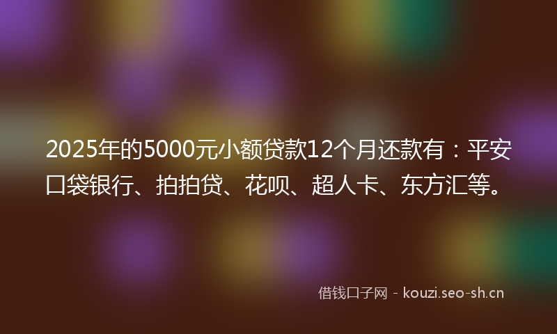 2025年的5000元小额贷款12个月还款有:平安口袋银行、拍拍贷、花呗、超人卡、东方汇等。