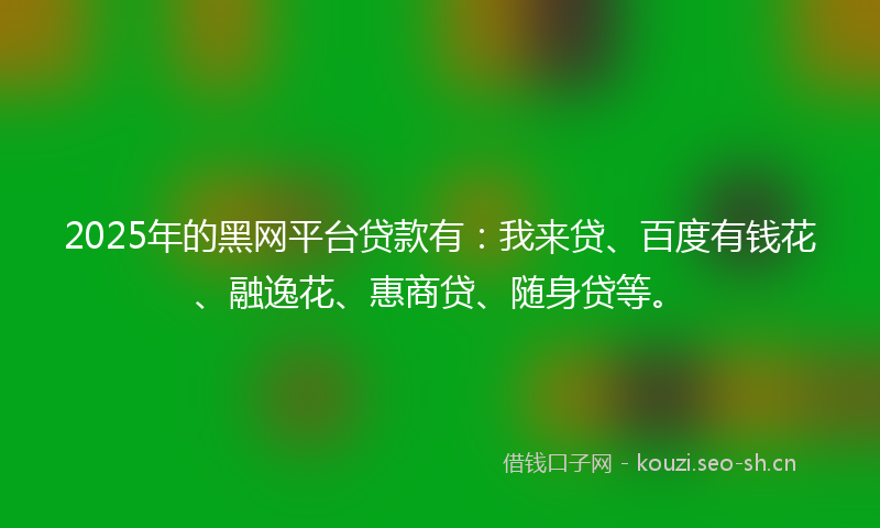 2025年的黑网平台贷款有:我来贷、百度有钱花、融逸花、惠商贷、随身贷等。