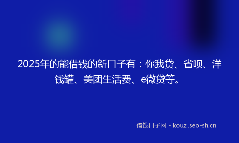 2025年的能借钱的新口子有：你我贷、省呗、洋钱罐、美团生活费、e微贷等。