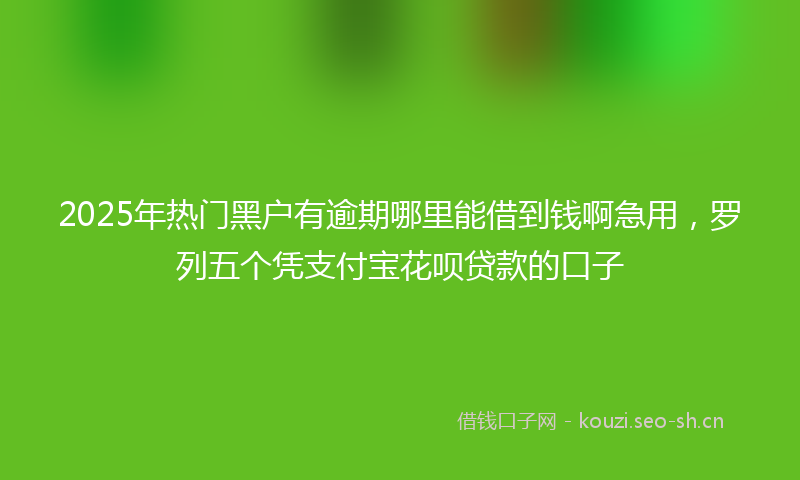 2025年热门黑户有逾期哪里能借到钱啊急用,罗列五个凭支付宝花呗贷款的口子