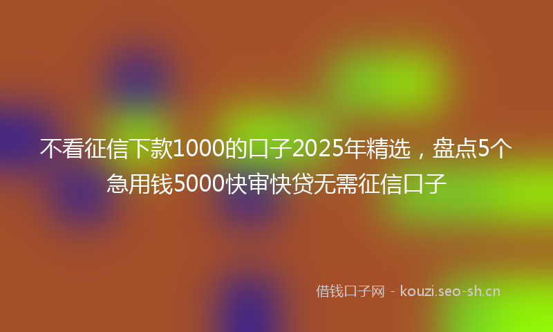 不看征信下款1000的口子2025年精选，盘点5个急用钱5000快审快贷无需征信口子