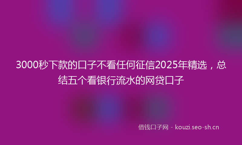 3000秒下款的口子不看任何征信2025年精选,总结五个看银行流水的网贷口子