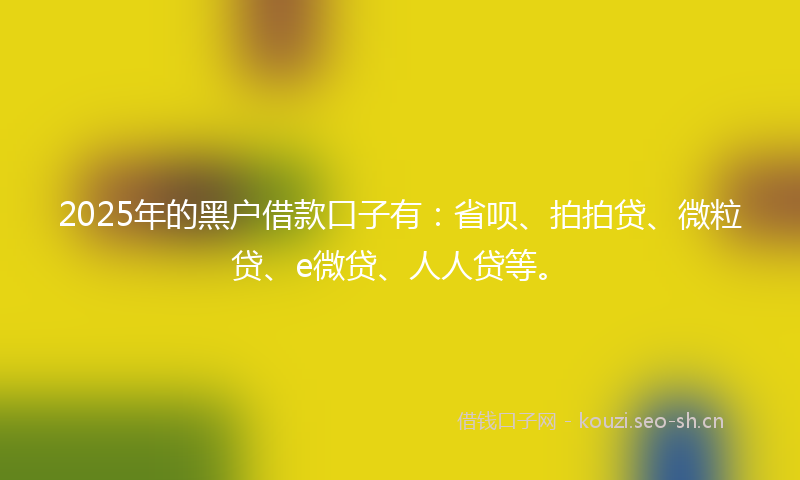 2025年的黑户借款口子有:省呗、拍拍贷、微粒贷、e微贷、人人贷等。