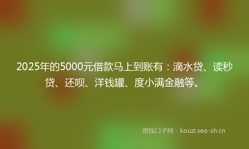 2025年的5000元借款马上到账有：滴水贷、读秒贷、还呗、洋钱罐、度小满金融等。