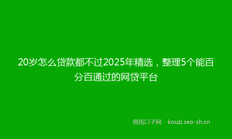 20岁怎么贷款都不过2025年精选，整理5个能百分百通过的网贷平台
