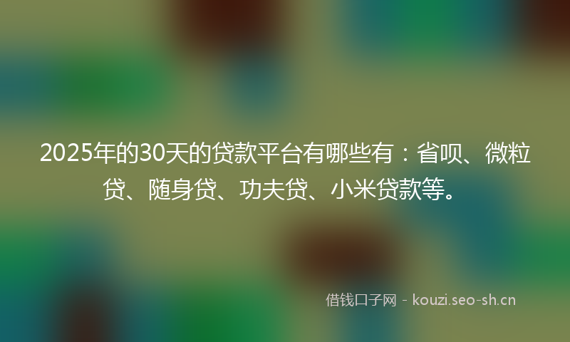 2025年的30天的贷款平台有哪些有：省呗、微粒贷、随身贷、功夫贷、小米贷款等。