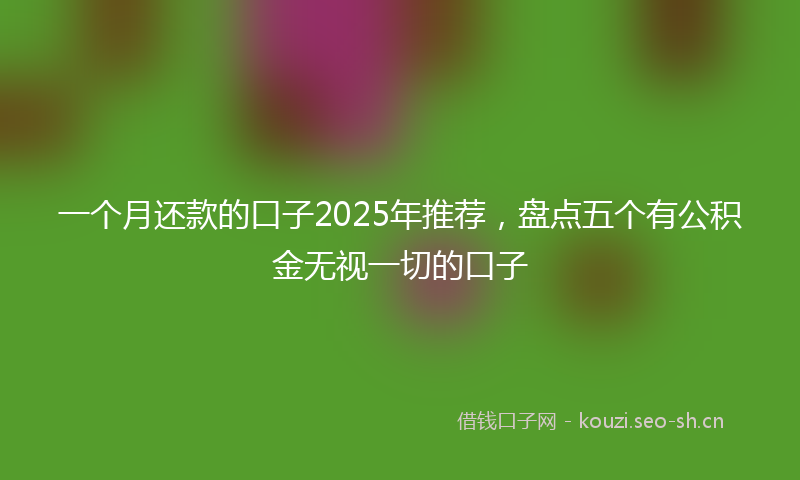 一个月还款的口子2025年推荐，盘点五个有公积金无视一切的口子