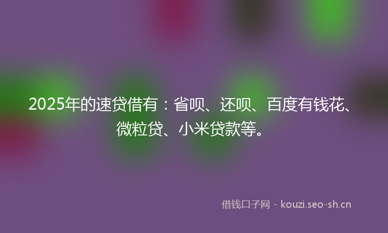 2025年的速贷借有：省呗、还呗、百度有钱花、微粒贷、小米贷款等。