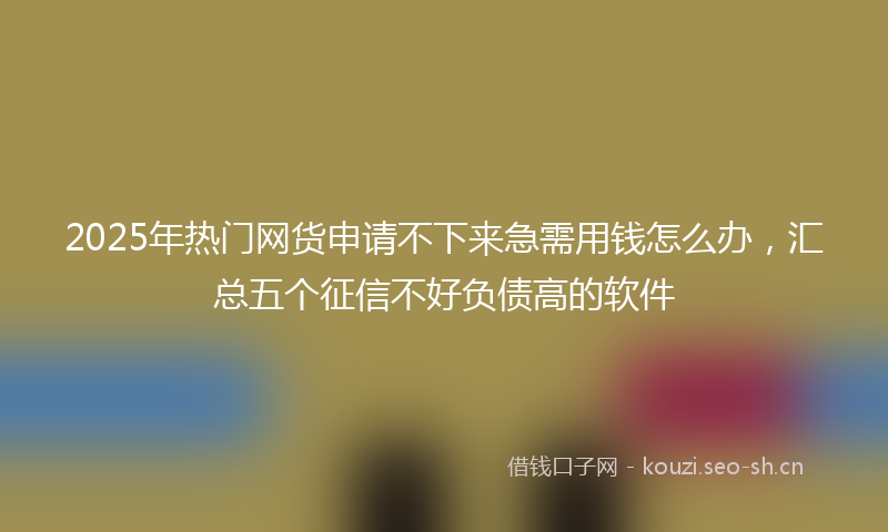 2025年热门网货申请不下来急需用钱怎么办，汇总五个征信不好负债高的软件