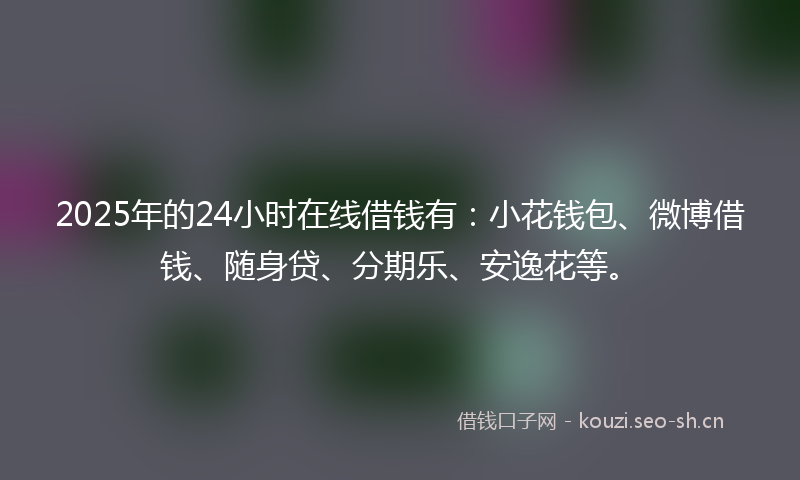 2025年的24小时在线借钱有：小花钱包、微博借钱、随身贷、分期乐、安逸花等。