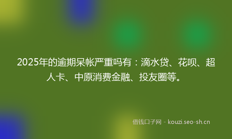 2025年的逾期呆帐严重吗有：滴水贷、花呗、超人卡、中原消费金融、投友圈等。