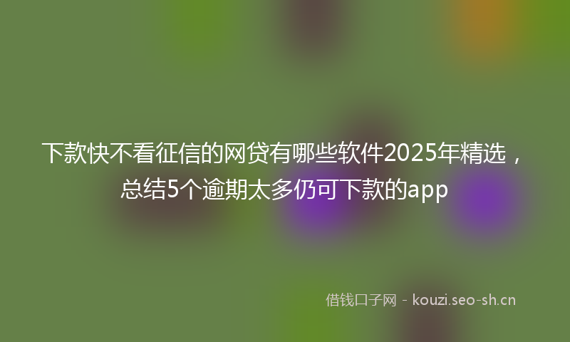 下款快不看征信的网贷有哪些软件2025年精选,总结5个逾期太多仍可下款的app