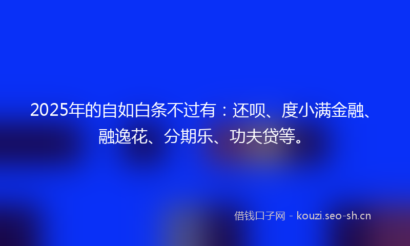 2025年的自如白条不过有：还呗、度小满金融、融逸花、分期乐、功夫贷等。