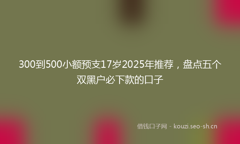 300到500小额预支17岁2025年推荐,盘点五个双黑户必下款的口子