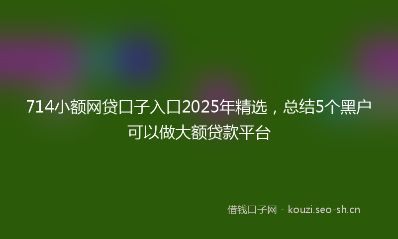 714小额网贷口子入口2025年精选，总结5个黑户可以做大额贷款平台