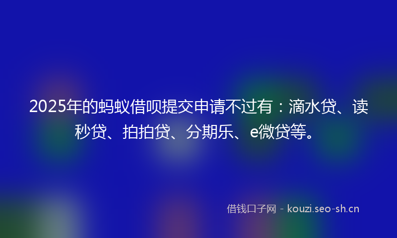 2025年的蚂蚁借呗提交申请不过有：滴水贷、读秒贷、拍拍贷、分期乐、e微贷等。