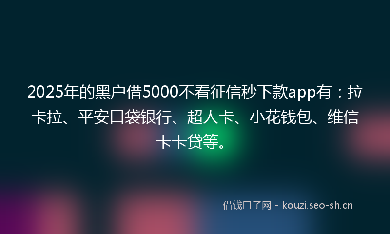 2025年的黑户借5000不看征信秒下款app有：拉卡拉、平安口袋银行、超人卡、小花钱包、维信卡卡贷等。