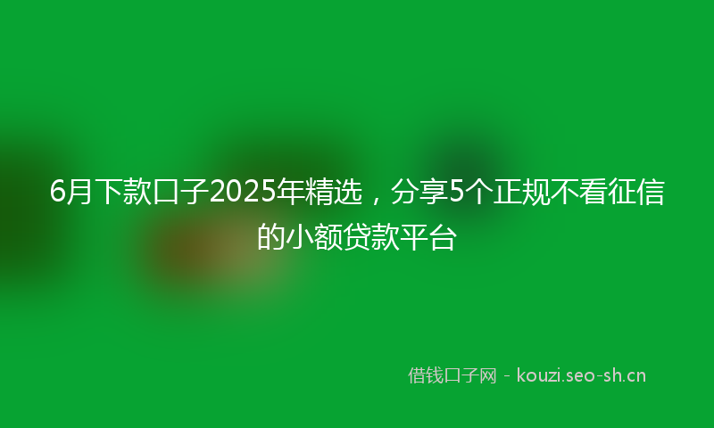6月下款口子2025年精选,分享5个正规不看征信的小额贷款平台