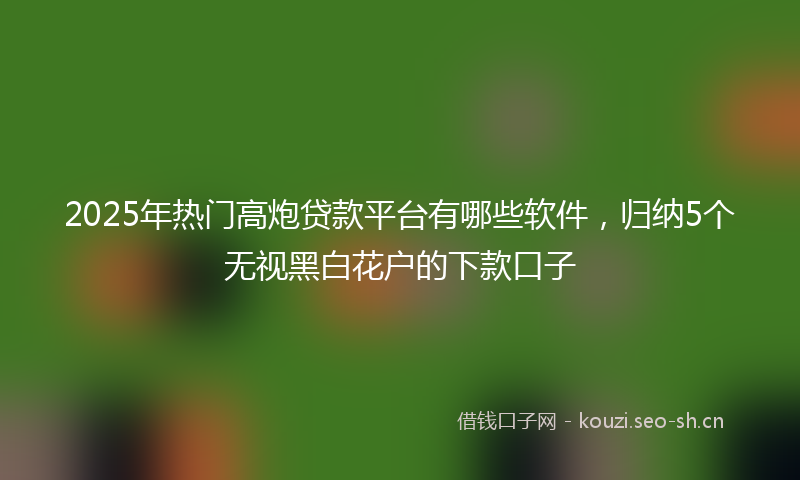 2025年热门高炮贷款平台有哪些软件，归纳5个无视黑白花户的下款口子