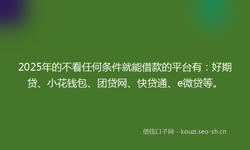 2025年的不看任何条件就能借款的平台有:好期贷、小花钱包、团贷网、快贷通、e微贷等。