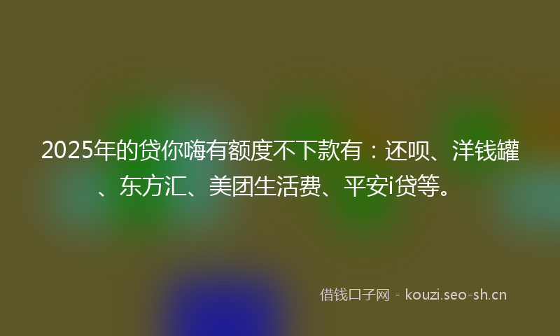 2025年的贷你嗨有额度不下款有：还呗、洋钱罐、东方汇、美团生活费、平安i贷等。