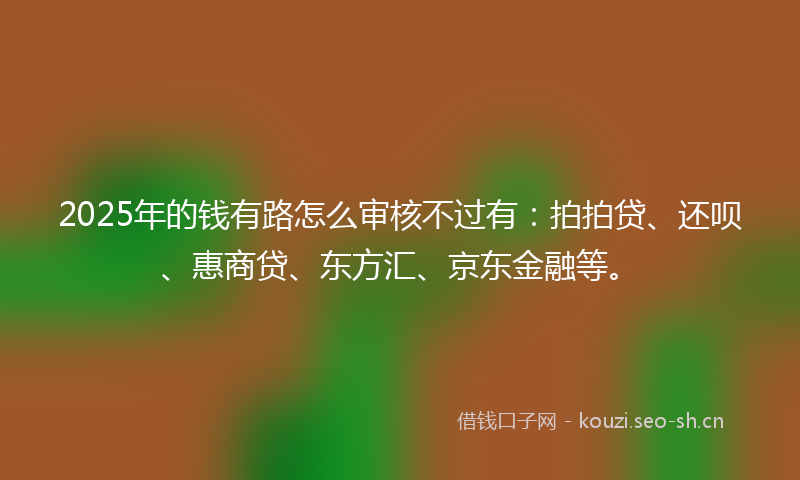 2025年的钱有路怎么审核不过有：拍拍贷、还呗、惠商贷、东方汇、京东金融等。
