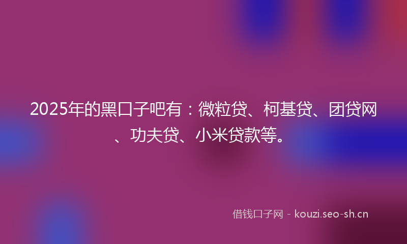 2025年的黑口子吧有：微粒贷、柯基贷、团贷网、功夫贷、小米贷款等。