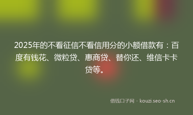 2025年的不看征信不看信用分的小额借款有：百度有钱花、微粒贷、惠商贷、替你还、维信卡卡贷等。