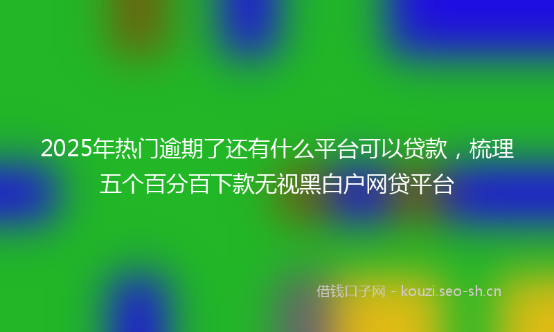 2025年热门逾期了还有什么平台可以贷款，梳理五个百分百下款无视黑白户网贷平台