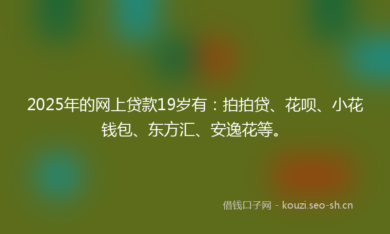 2025年的网上贷款19岁有：拍拍贷、花呗、小花钱包、东方汇、安逸花等。