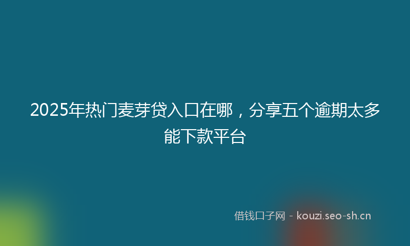 2025年热门麦芽贷入口在哪，分享五个逾期太多能下款平台