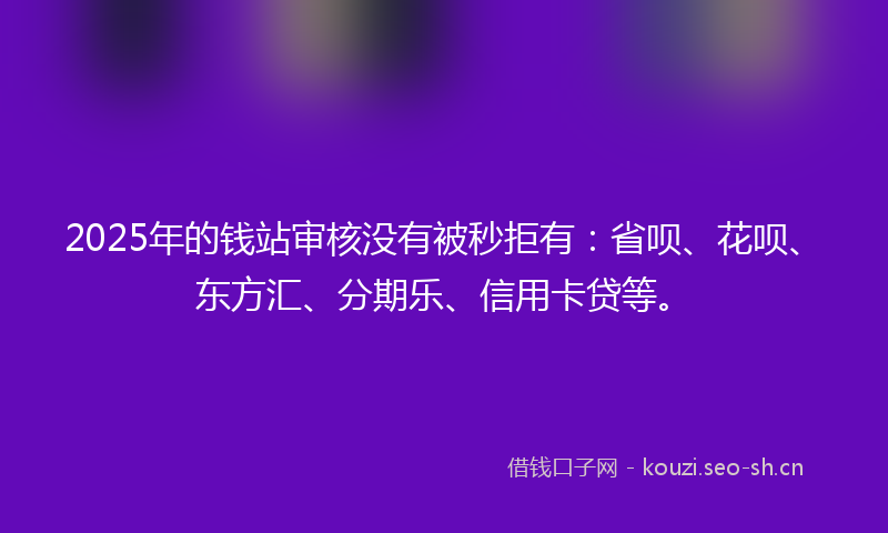2025年的钱站审核没有被秒拒有：省呗、花呗、东方汇、分期乐、信用卡贷等。
