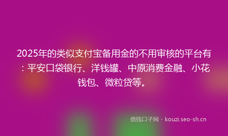 2025年的类似支付宝备用金的不用审核的平台有：平安口袋银行、洋钱罐、中原消费金融、小花钱包、微粒贷等。