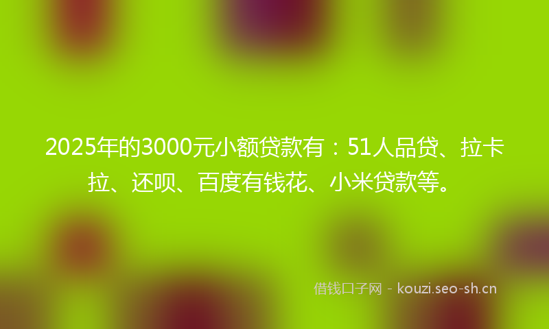 2025年的3000元小额贷款有：51人品贷、拉卡拉、还呗、百度有钱花、小米贷款等。