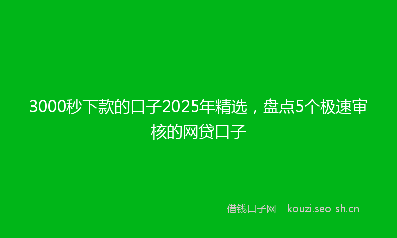 3000秒下款的口子2025年精选，盘点5个极速审核的网贷口子