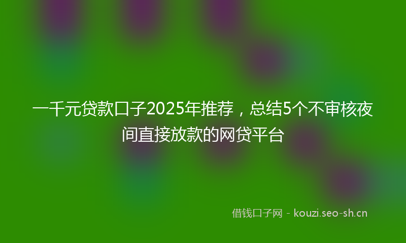 一千元贷款口子2025年推荐，总结5个不审核夜间直接放款的网贷平台