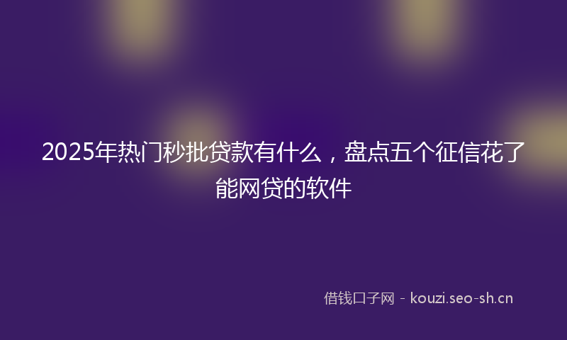 2025年热门秒批贷款有什么,盘点五个征信花了能网贷的软件