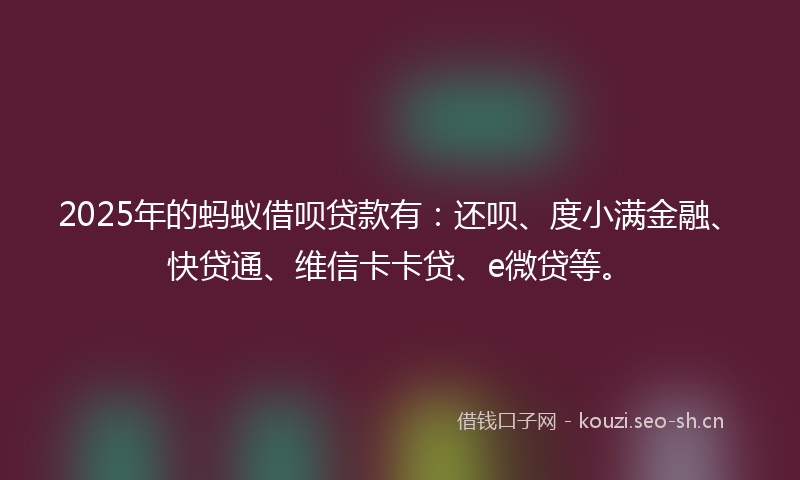 2025年的蚂蚁借呗贷款有：还呗、度小满金融、快贷通、维信卡卡贷、e微贷等。