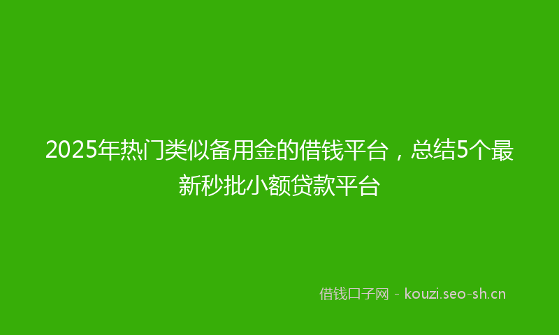 2025年热门类似备用金的借钱平台，总结5个最新秒批小额贷款平台