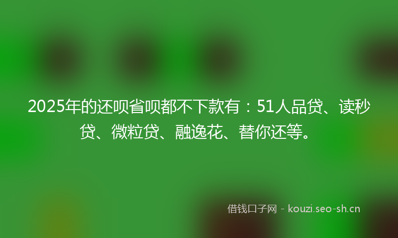 2025年的还呗省呗都不下款有：51人品贷、读秒贷、微粒贷、融逸花、替你还等。