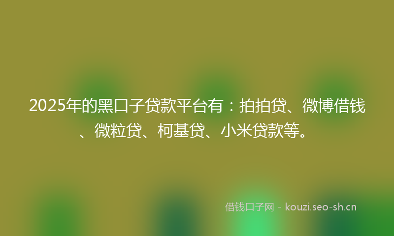 2025年的黑口子贷款平台有：拍拍贷、微博借钱、微粒贷、柯基贷、小米贷款等。