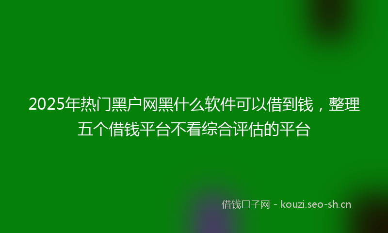 2025年热门黑户网黑什么软件可以借到钱，整理五个借钱平台不看综合评估的平台