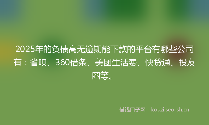 2025年的负债高无逾期能下款的平台有哪些公司有：省呗、360借条、美团生活费、快贷通、投友圈等。